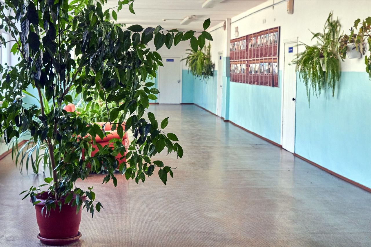 Полиция и чиновники подтвердили информацию о стрельбе в школе. Пистолет был игрушечным