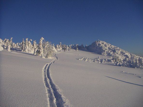 Константин Возьмитель: Лыжи из печки торчат…