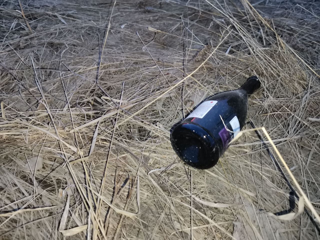 В Краснотурьинске за 2 года от отравления алкоголем умерли 14 человек