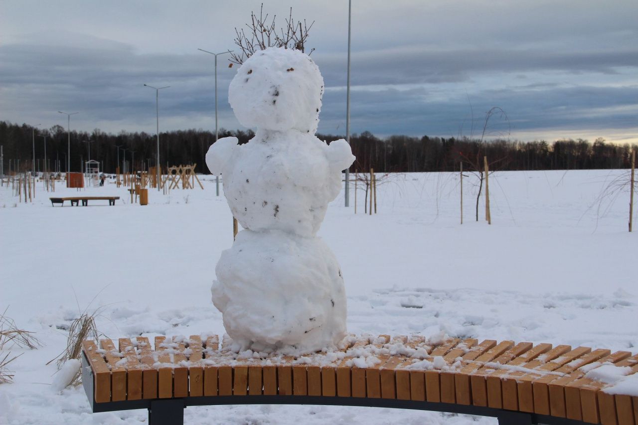 На севере области похолодает до -29 градусов