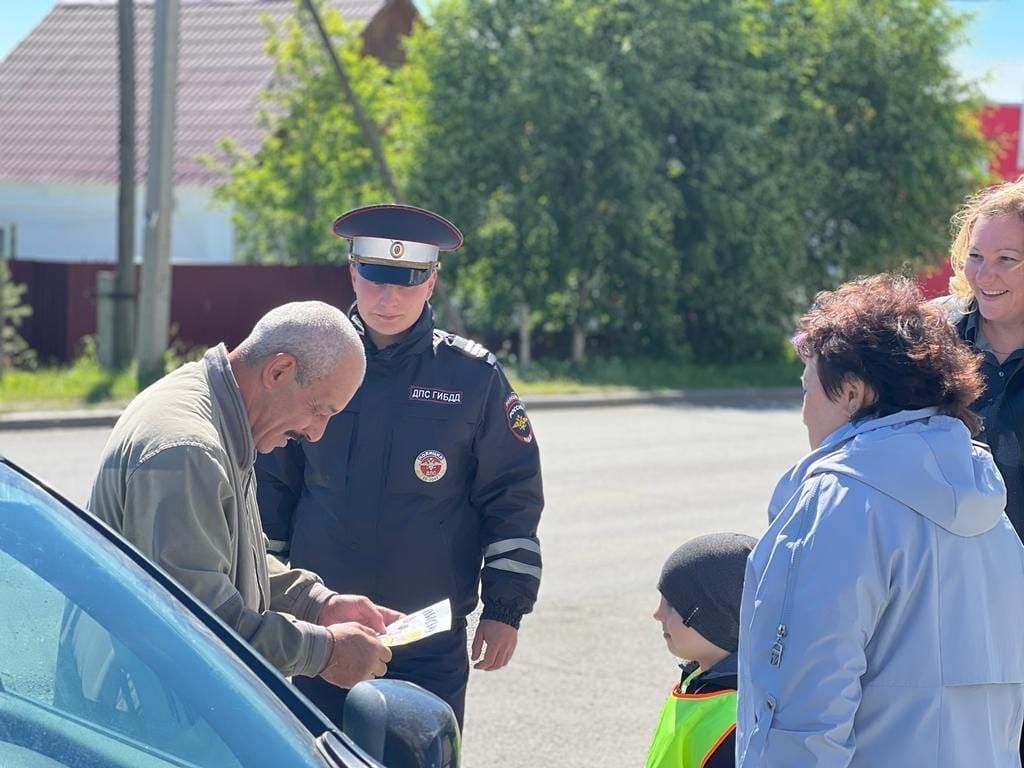 Детсадовцы  попросили пожилых водителей быть внимательнее на дорогах 