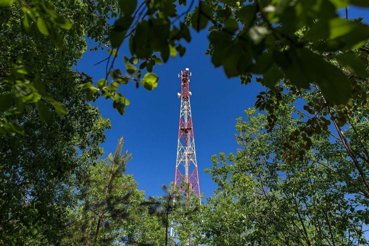 Новый стандарт голосовой связи: МегаФон запустил федеральную сеть VoLTE |  Спецпроекты рекламной службы | Краснотурьинск.инфо