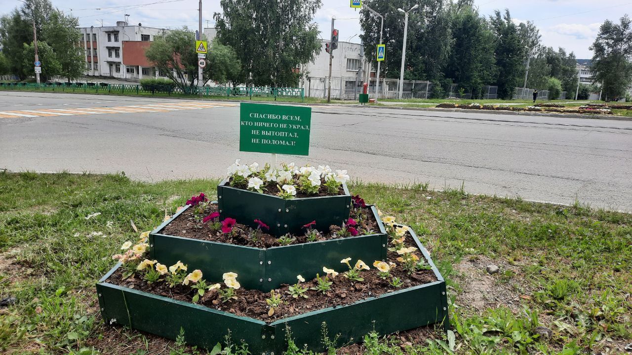 В Краснотурьинске стали реже воровать рассаду с клумб