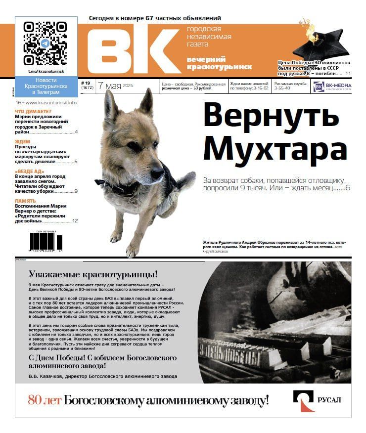 Свежая «Вечерка»: как вернуть пса из отлова и воспоминания о военном детстве