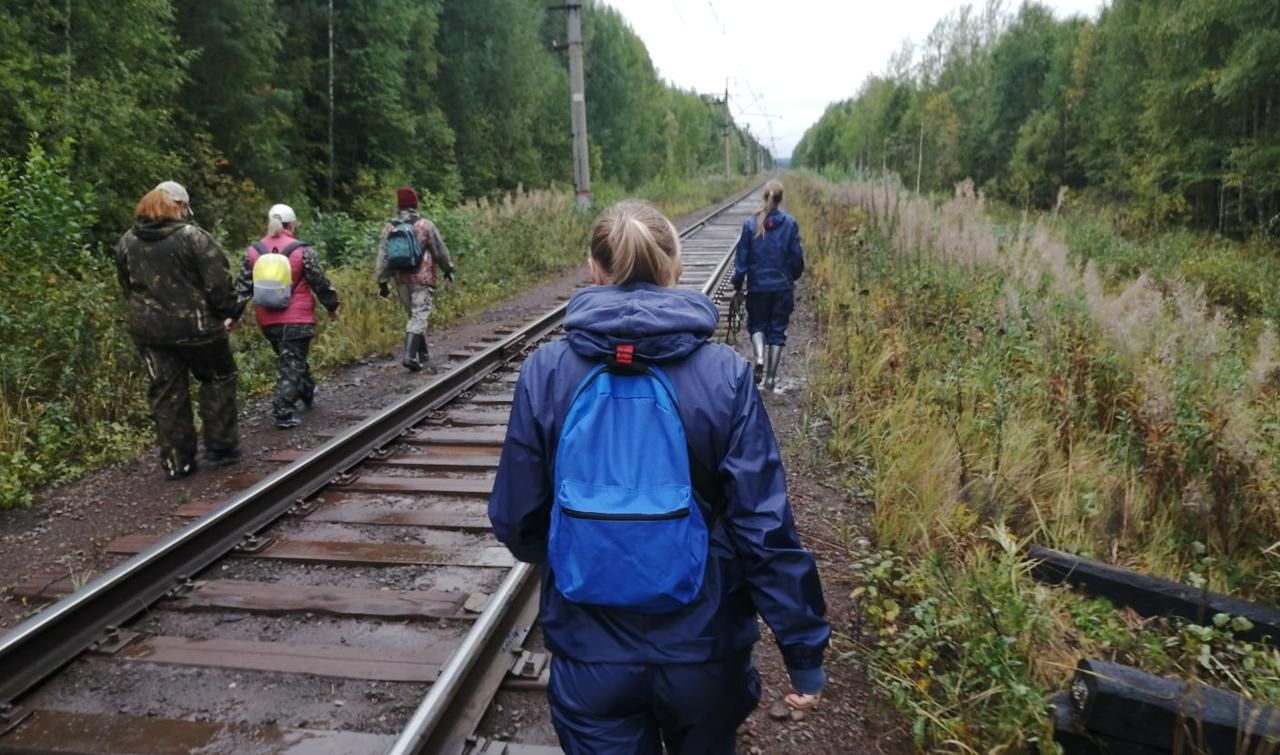 Пропавший в лесу мужчина до сих пор не найден. Определяется район поисков