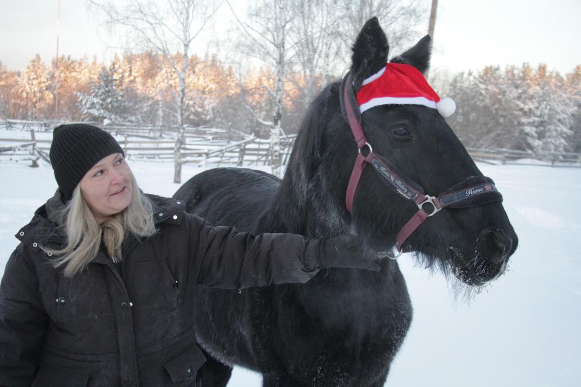 “Они – как дети”. К году Лошади рассказываем о конном хозяйстве “Ласточка”