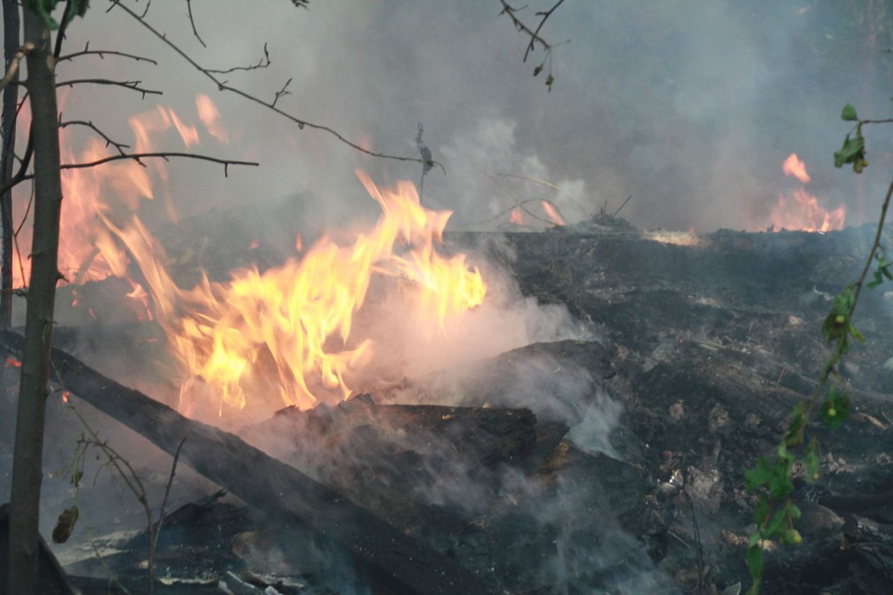 Область выплатит 50 000 рублей ликвидаторам лесных пожаров
