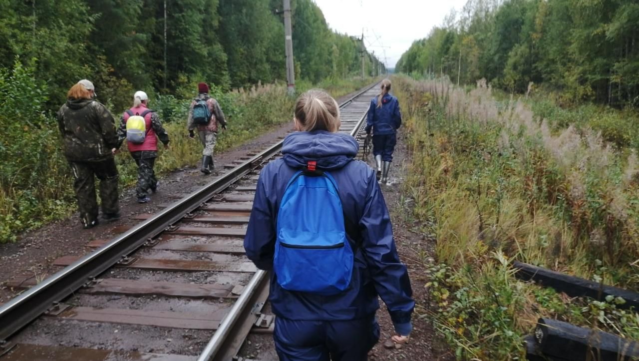 Краснотурьинские спасатели уже третьи сутки ищут пропавшего в лесу человека