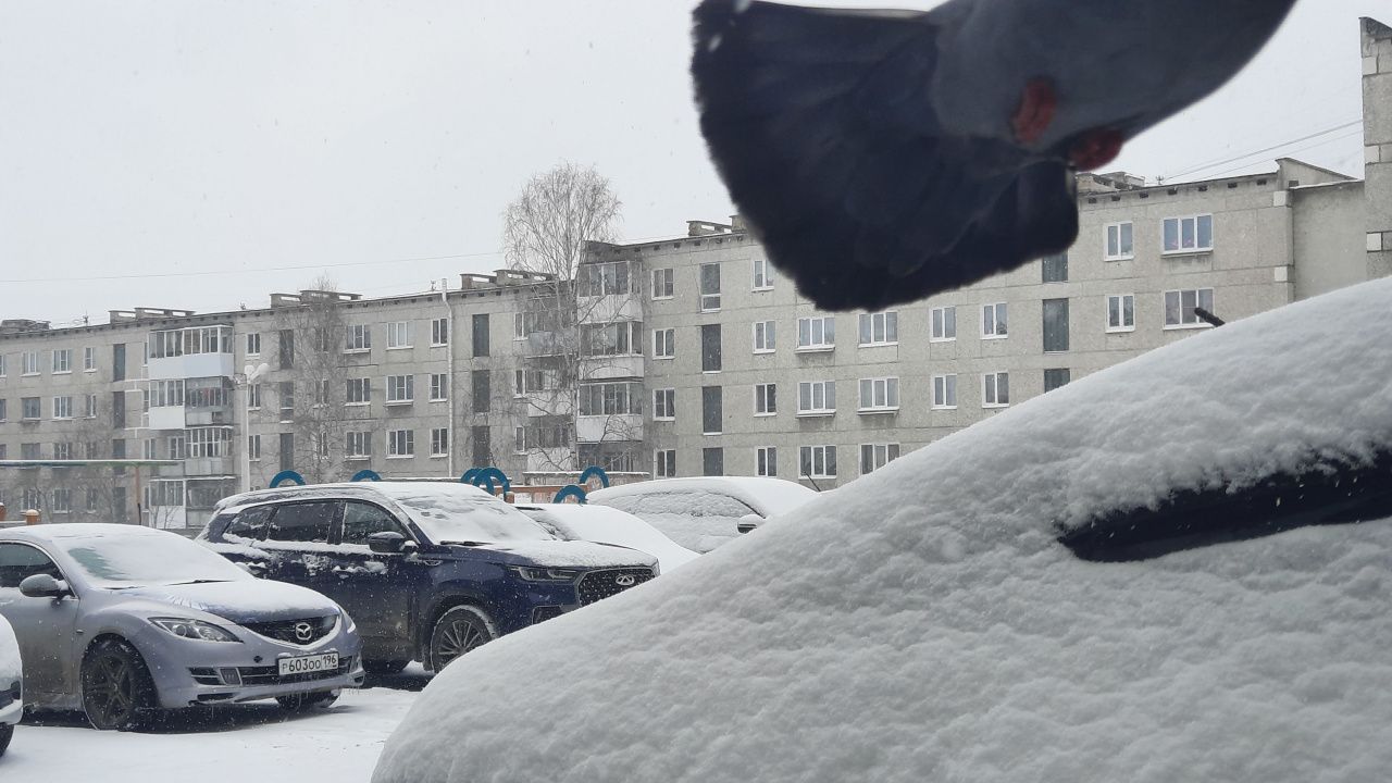 В мэрии Краснотурьинска рассказали, как борются с последствиями снегопада