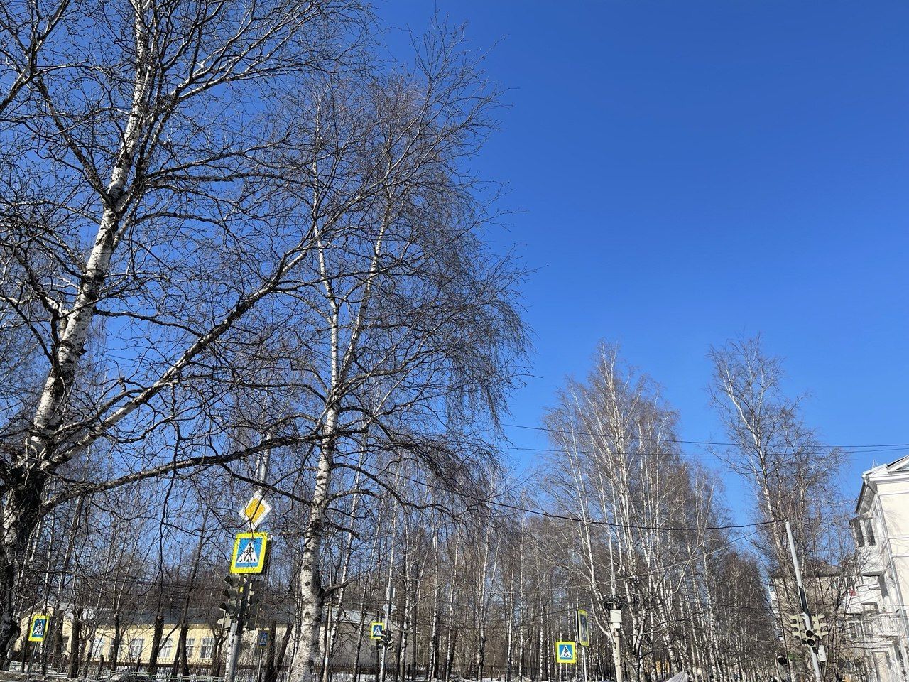 Апрель на севере области начнется мокрым снегом с дождем