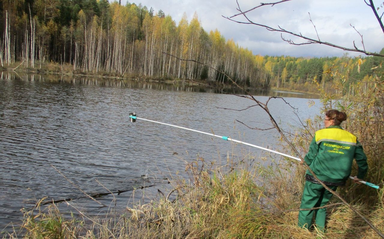 Специалисты исследуют воду в Какве и выбросы «Золота Северного Урала»