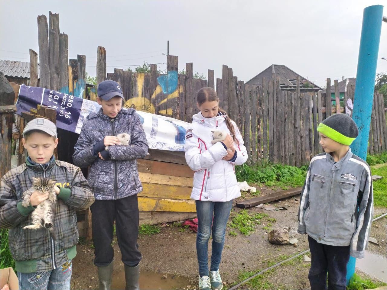 Добрая история из Североуральска: дети построили домик для брошенных котят