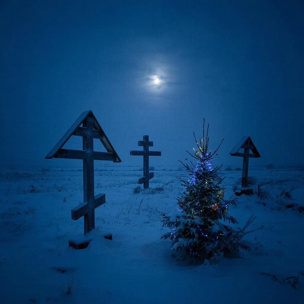 Новый год – праздник для живых и мертвых? С УМК “Обряд” разбираемся в традиции украшать ели на кладбищах