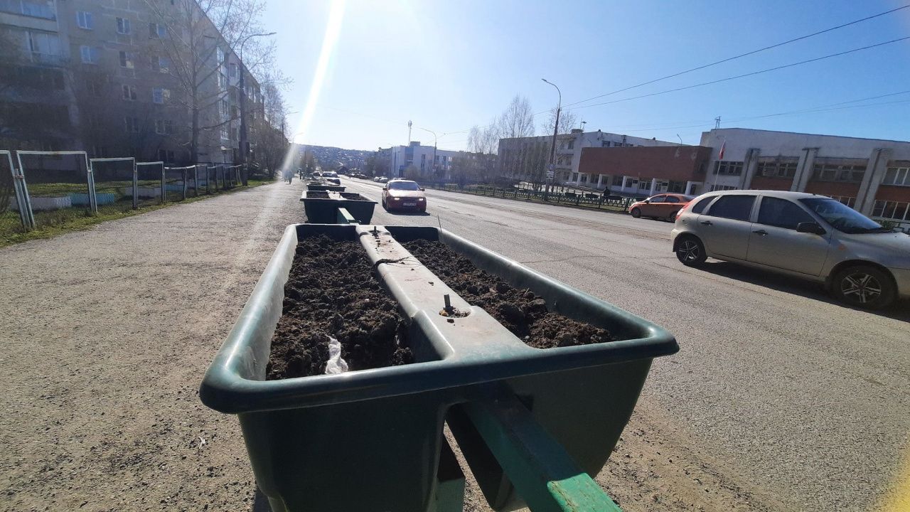 Воспитанники станции юннатов высадят цветы в вазонах у школ №№24 и 32