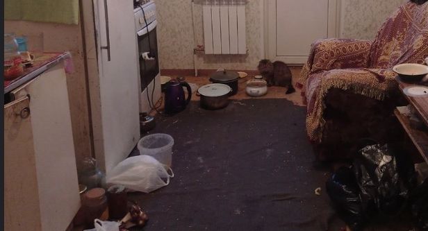 Мэрия просит суд лишить горожанина права пользоваться квартирой. Там фекалии, хлам и насекомые