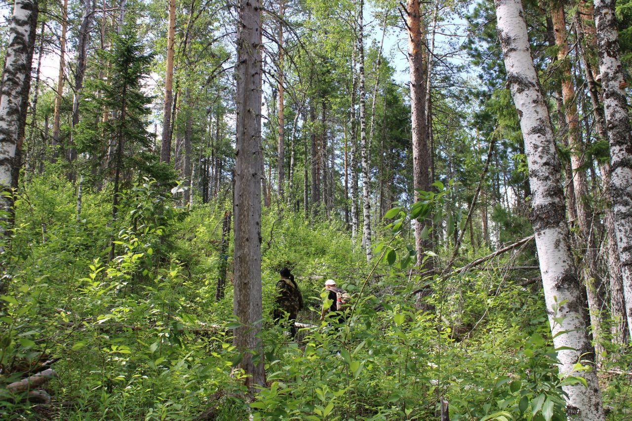 На следующей неделе на «Пещерном» продолжатся взрывные работы