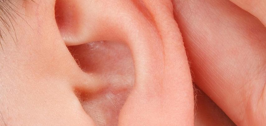 Будут судить краснотурьинца, откусившего знакомому ухо