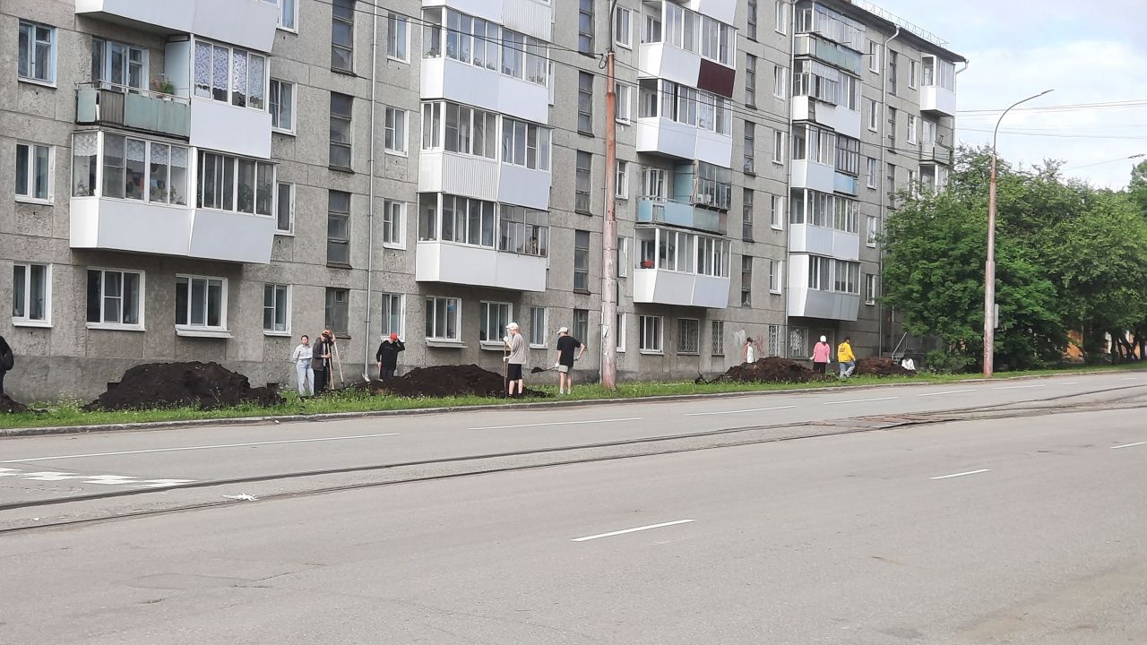 Новые клумбы появятся в нескольких частях города 