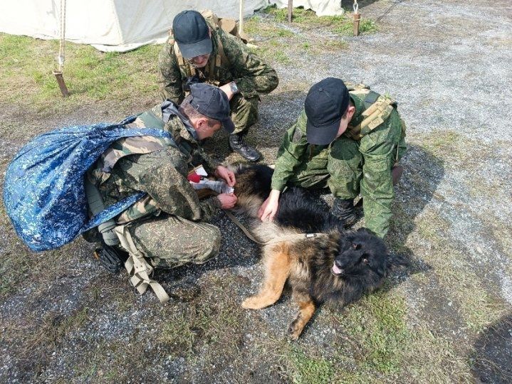 Группы преследования беглецов соревновались в Верхотурье. Представитель ИК-3 лучше всех стрелял 
