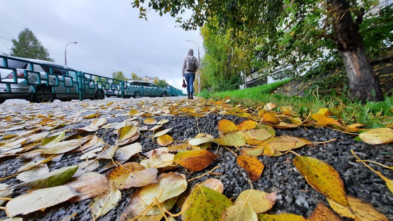 По прогнозам синоптиков, снег на севере области выпадет в ноябре
