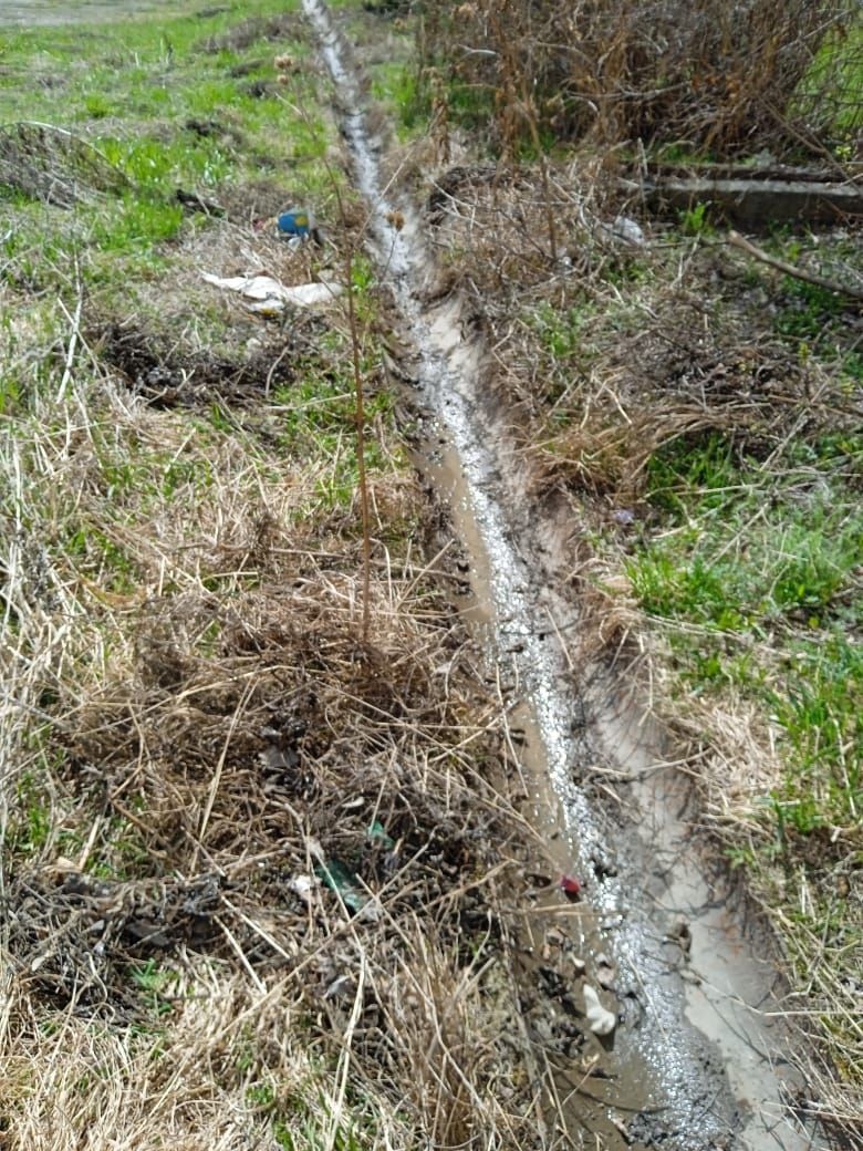 «Дворников что ли нет? Все забито»: под окнами многоквартирного дома устроили свалку