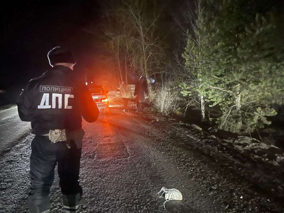 В пригороде Краснотурьинска насмерть сбили пешехода