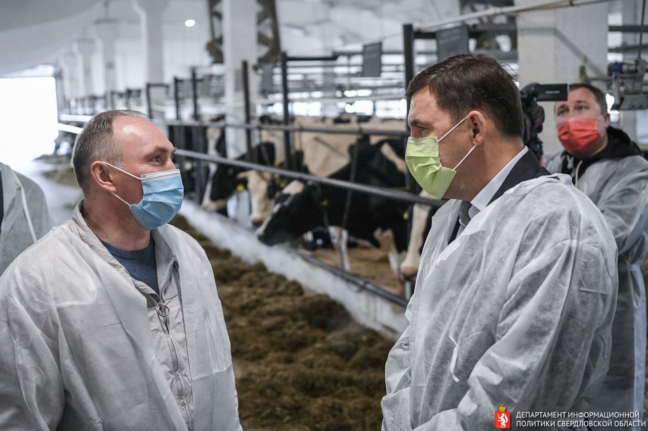 Евгений Куйвашев проверил, как работают меры поддержки фермеров