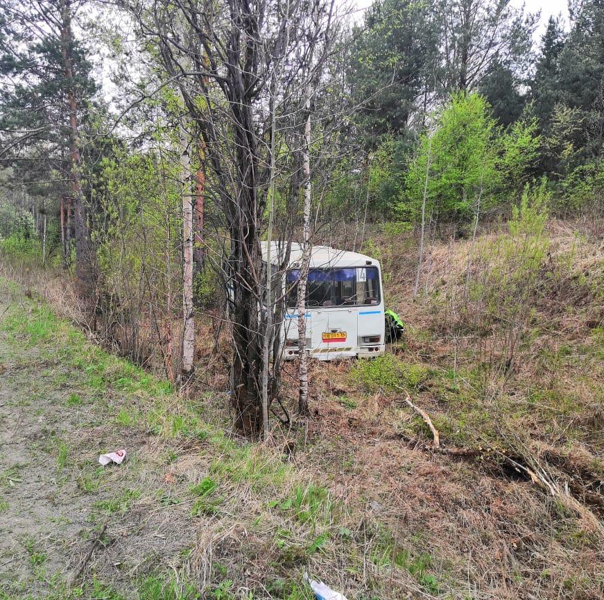В Краснотурьинске рейсовый автобус съехал в кювет и врезался в дерево