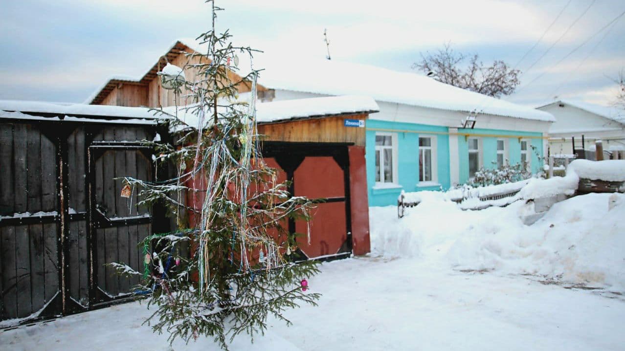 «Рифей» просит не выбрасывать елки в мусорный контейнер