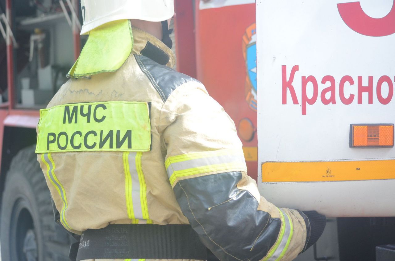 Какую работу предлагает центр занятости с 1 июня
