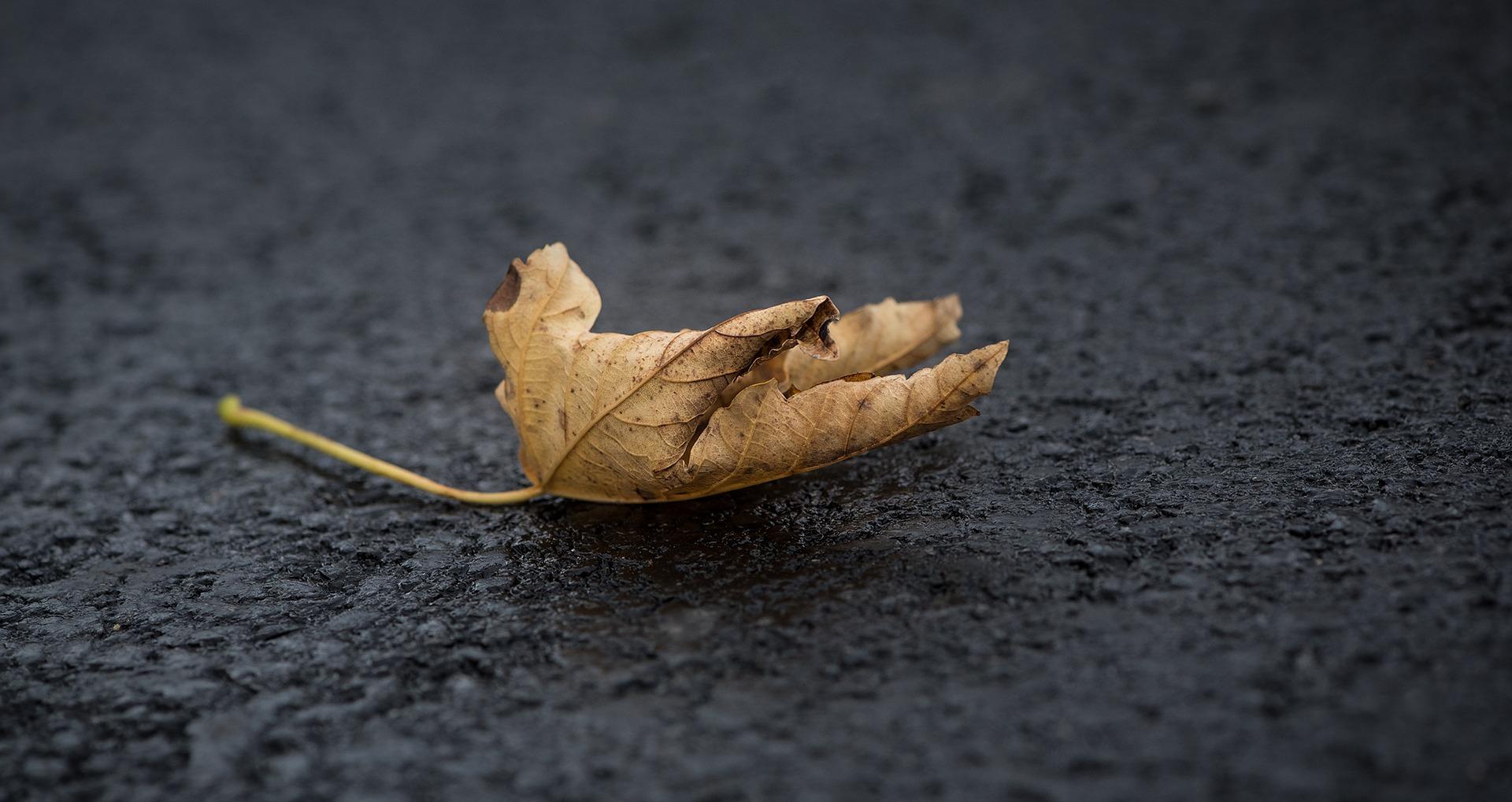 Синоптики обещают потепление к выходным