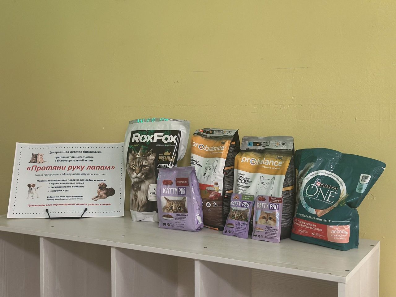 В детской библиотеке проходит благотворительная акция «Протяни руку лапам»
