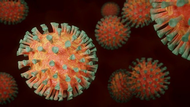 COVID. Что известно о заболевших коронавирусом горожанах