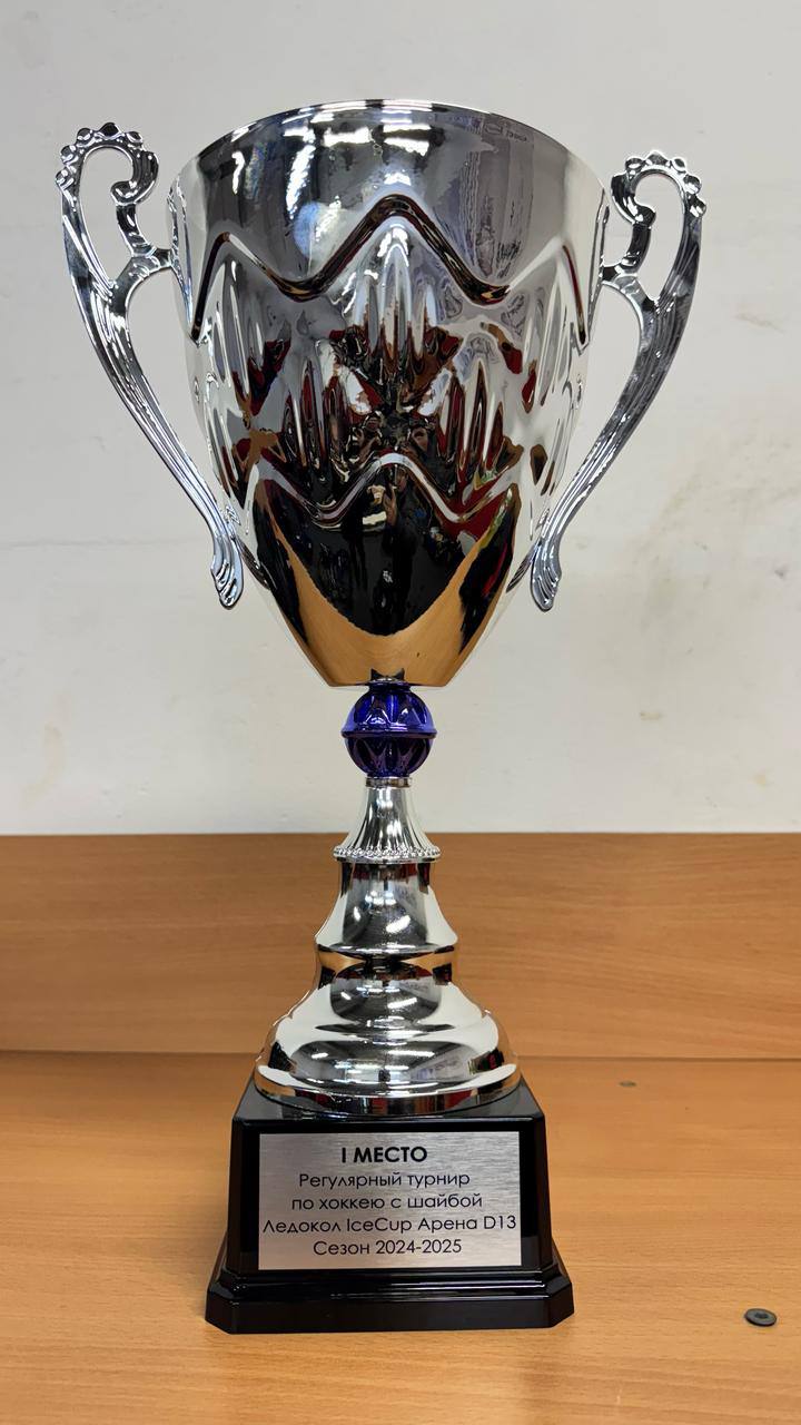 Юные краснотурьинцы стали победителями детского турнира по хоккею