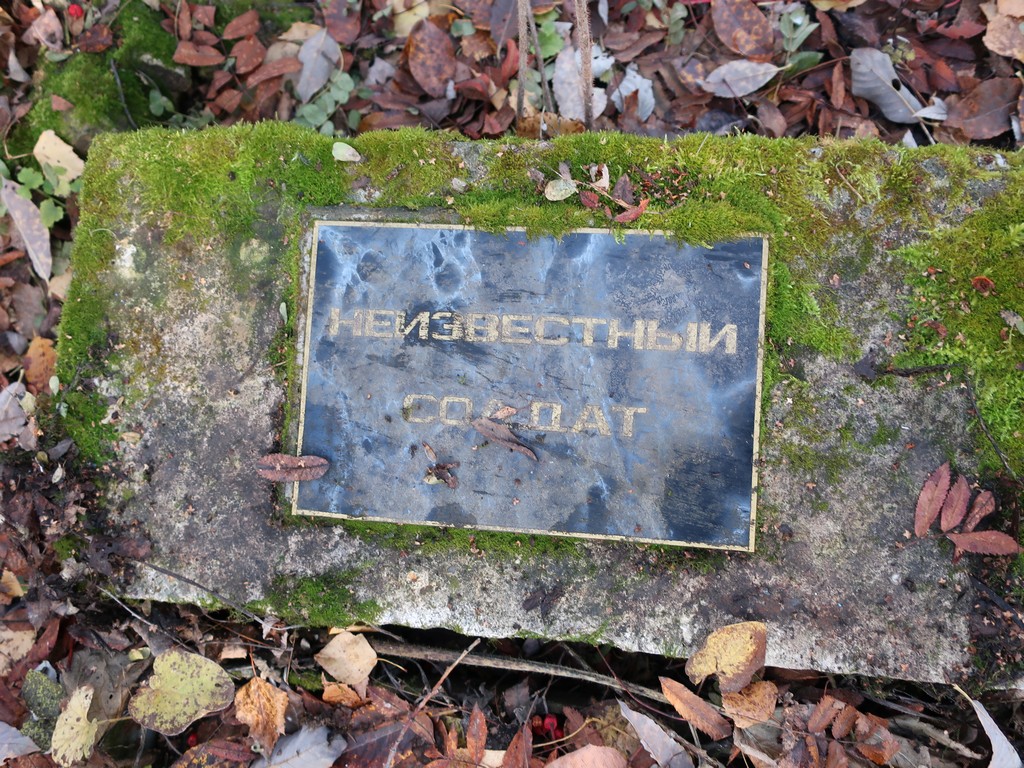 Сотрудники краеведческого музея ищут информацию о могиле незвестного солдата на кладбище Медном