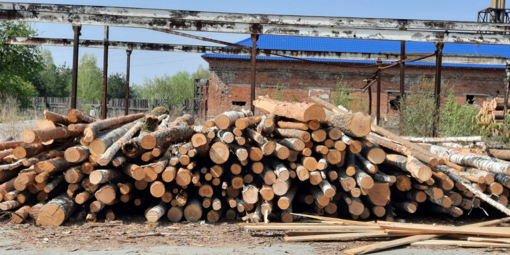 Мэрия вновь продает более полутора тысяч кубов древесины. Купить их ...
