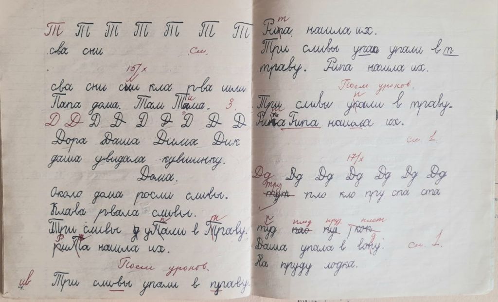 «Три сливы укали в траву. Гипа нашла их» (Три сливы упали в траву. Рита нашла их). «Даша упала в вону» (Даша упала в воду)… Сплошные мучения первоклассника и учительские «Колы». Фото: Андрей Гребенкин, «Глобус»