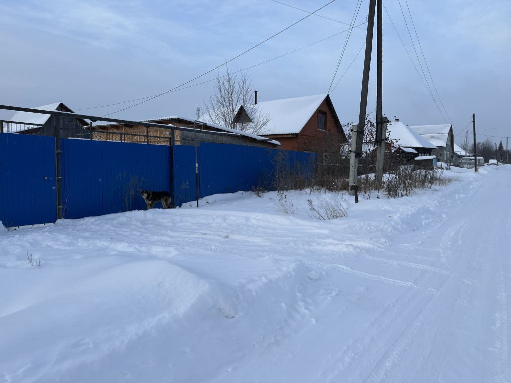 Этот участок не брошен, там живет семья. Людям самим пришлось чистить снежный вал. Таких домов на улице Маяковского много. Фото: Мария Шевнина, «Вечерний Краснотурьинск»