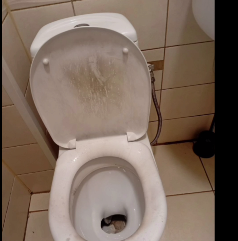 Разбитый унитаз. Скриншот с видео камеры наблюдения