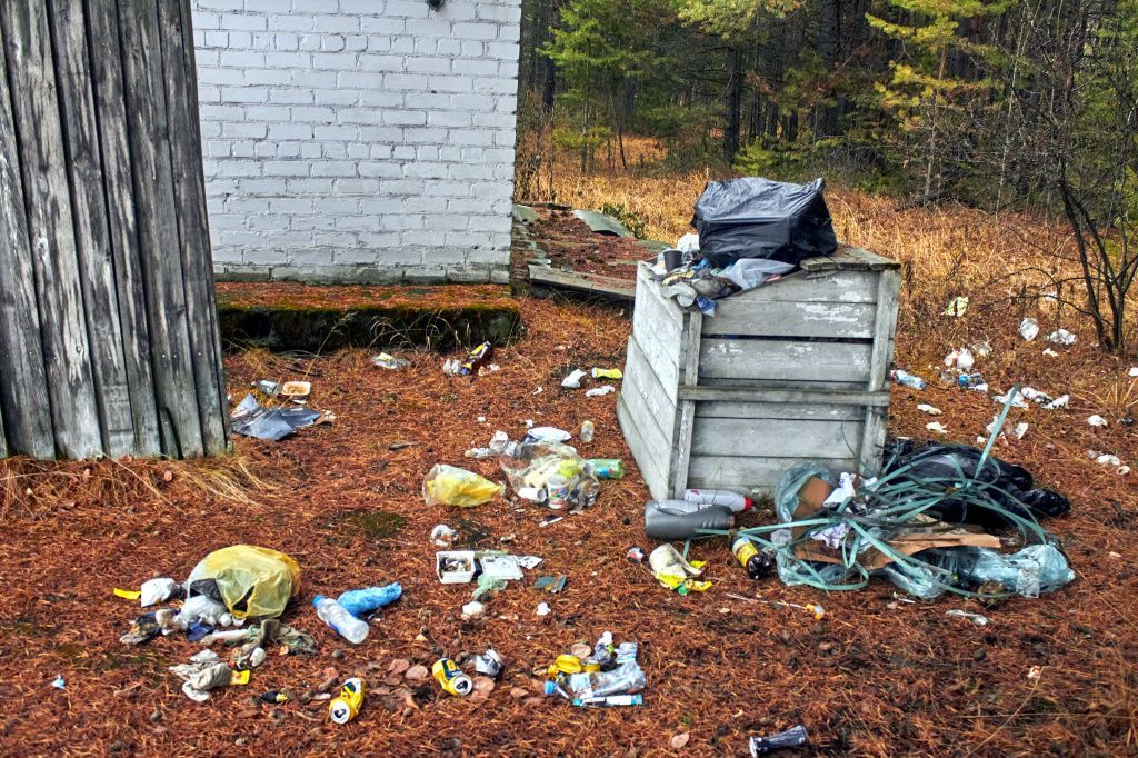 Вероятно, мусор растаскивают бродячие псы. Фото: Вадим Аминов, «Вечерний Краснотурьинск»