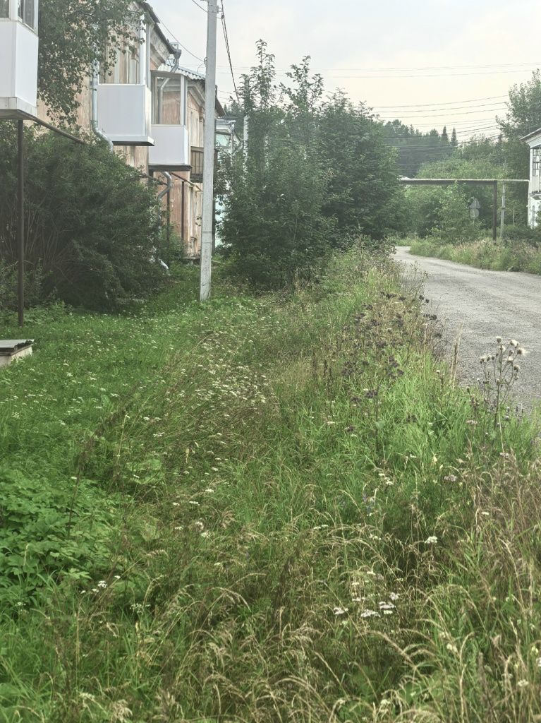 Водоотводная канава заросла и не справляется с отведением. Фото: Андрей Клейменов, «Вечерний Краснотурьинск»