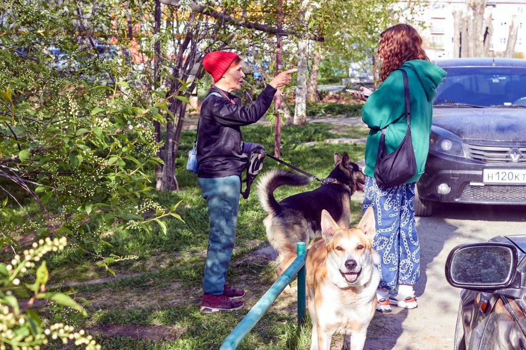 Жительница дома, гуляющая с собакой: "Весь двор кормит". Фото: Вадим Аминов, "Вечерний Краснотурьинск"