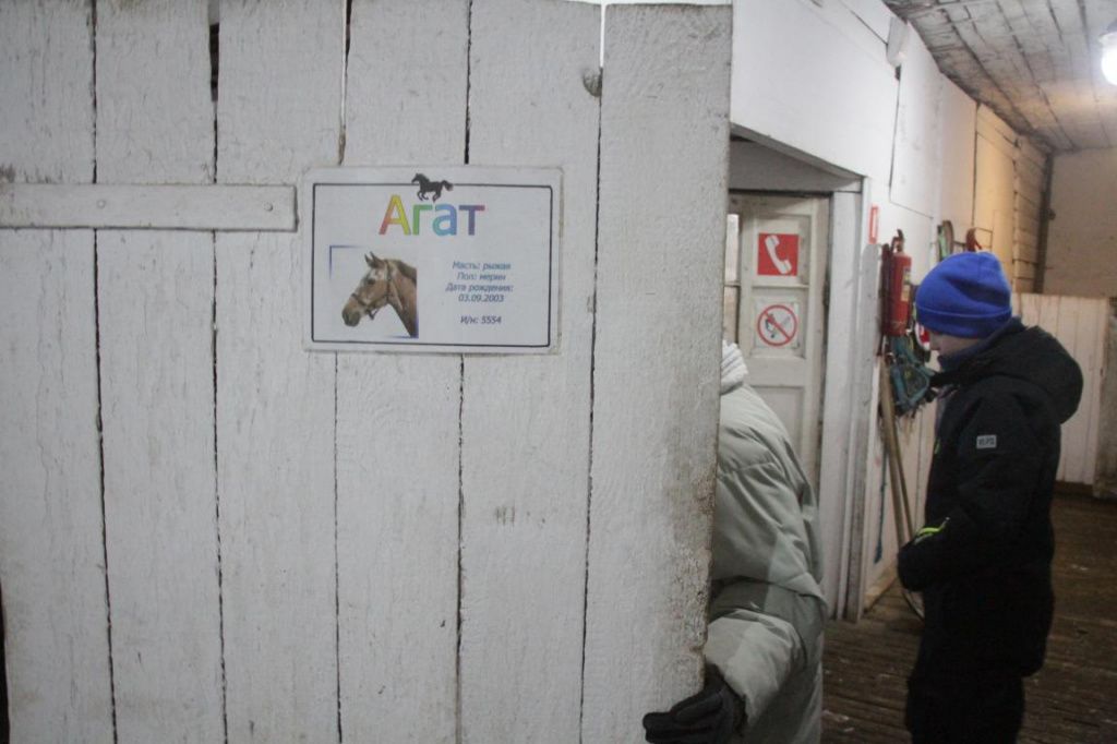 На воротах денников информация о каждом питомце. Фото: Константин Бобылев, "Глобус"