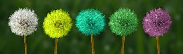 Лето - это всегда Крапивин. Иллюстрация: pixabay.vom