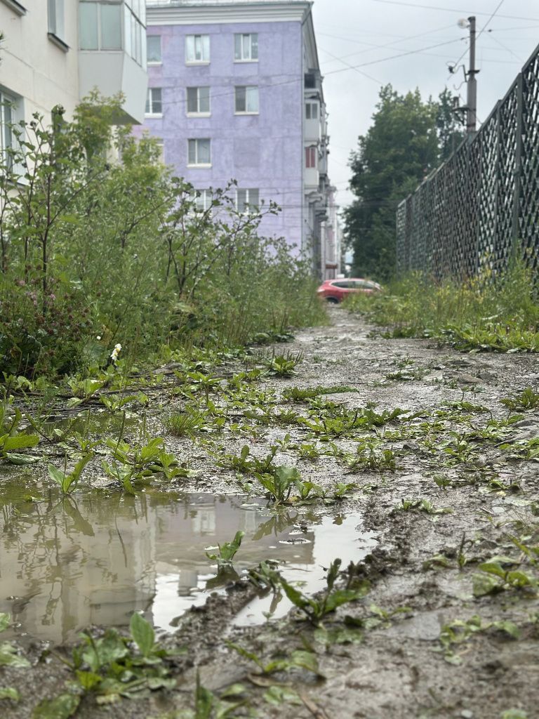 «Теперь люди вынуждены ходить по грязи», — констатирует читатель. Фото: Мария Шевнина, «Вечерний Краснотурьинск»