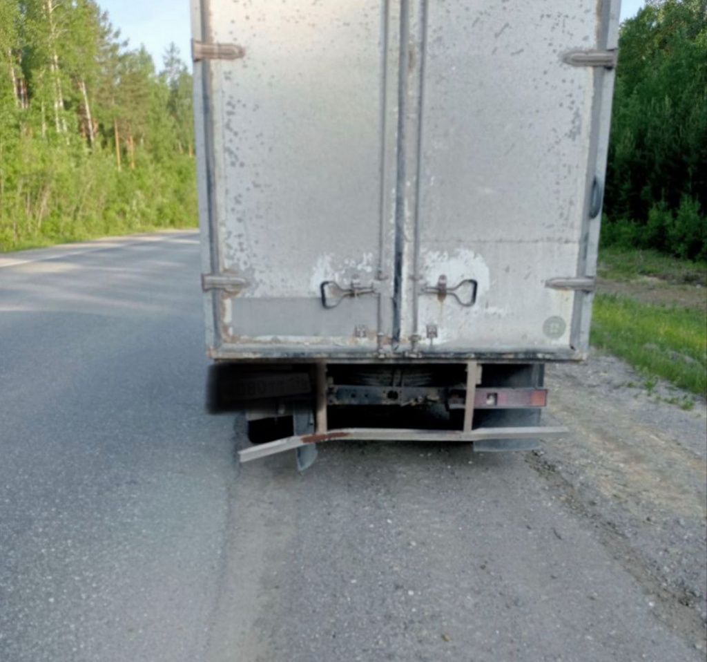 Лосиха угодила под колеса грузового автомобиля. Фото предоставлено ГИБДД