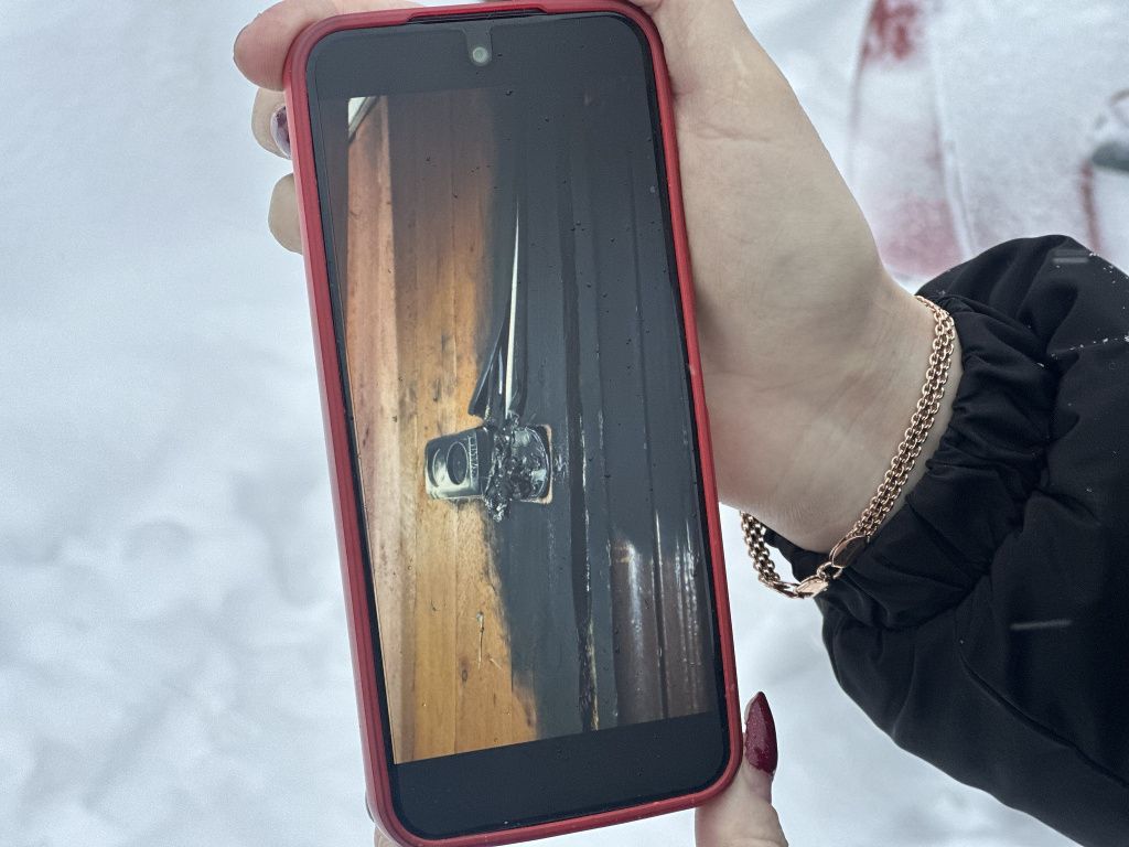 Елена показывает фотографии возгораний. Фото: Мария Шевнина, «Вечерний Краснотурьинск» Елена показывает фотографии возгораний. Фото: Мария Шевнина, «Вечерний Краснотурьинск»