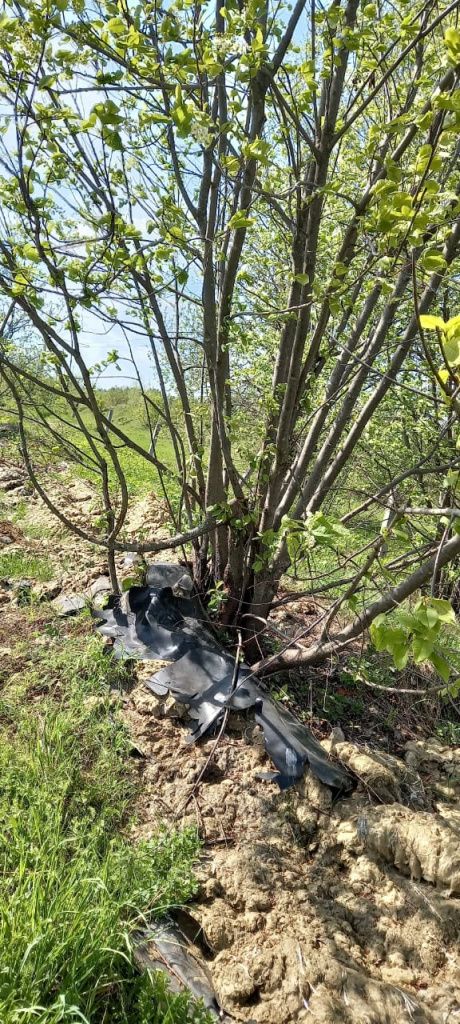 Раиса Мельникова рассказывает, что «все это» оттаяло весной. Фото: Раиса Мельникова