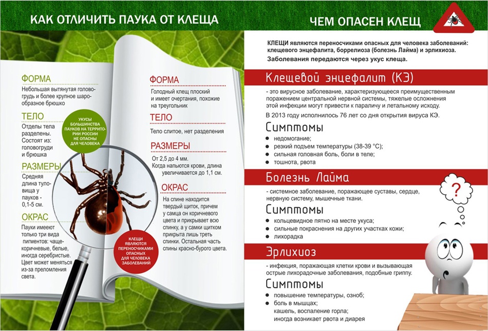 Инфографика: официальный паблик Краснотурьинской городской больницы в соцсети "ВКонтакте"