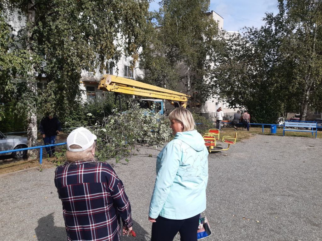 Наталья Красулина и Татьяна Истомина выступили против вырубки деревьев во дворе. Фото: Михаил Бобков, "Вечерний Краснотурьинск"
